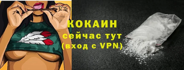 твердый Бородино