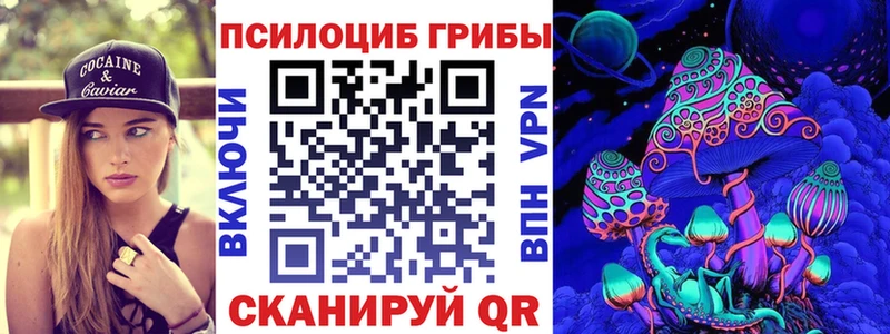 kraken tor  наркотики  Венёв  Псилоцибиновые грибы ЛСД 