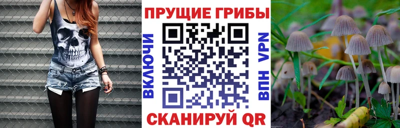 Псилоцибиновые грибы прущие грибы Венёв