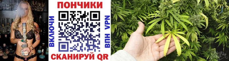 OMG маркетплейс  Венёв  Бошки Шишки планчик 